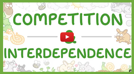 Adaptations & Competition Videos