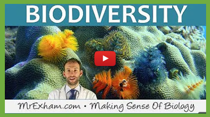 Biodiversity Videos