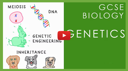 Genetics Videos