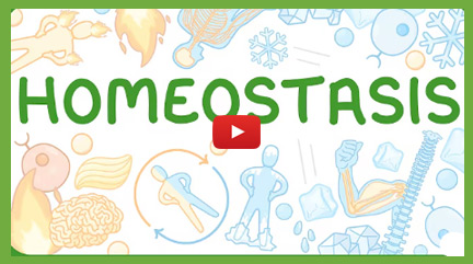 Homeostasis Videos