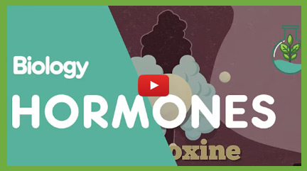 Hormonal Coordination Videos