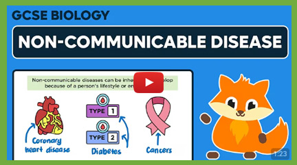 Non-Communicable Videos