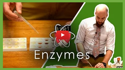 Biology Practical - Enzymes