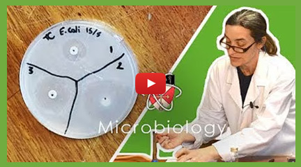 Biology Practical - Microbiology