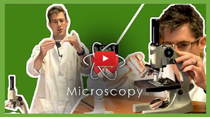 Biology Practical - Microscopy