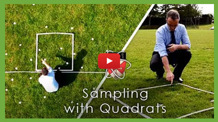 Biology Practical - Using Quadrats