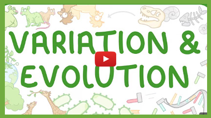 Variation & Evolution Videos