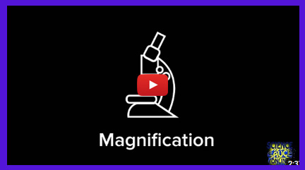 Calculating Magnification Video