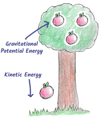 Apple falling from a tree